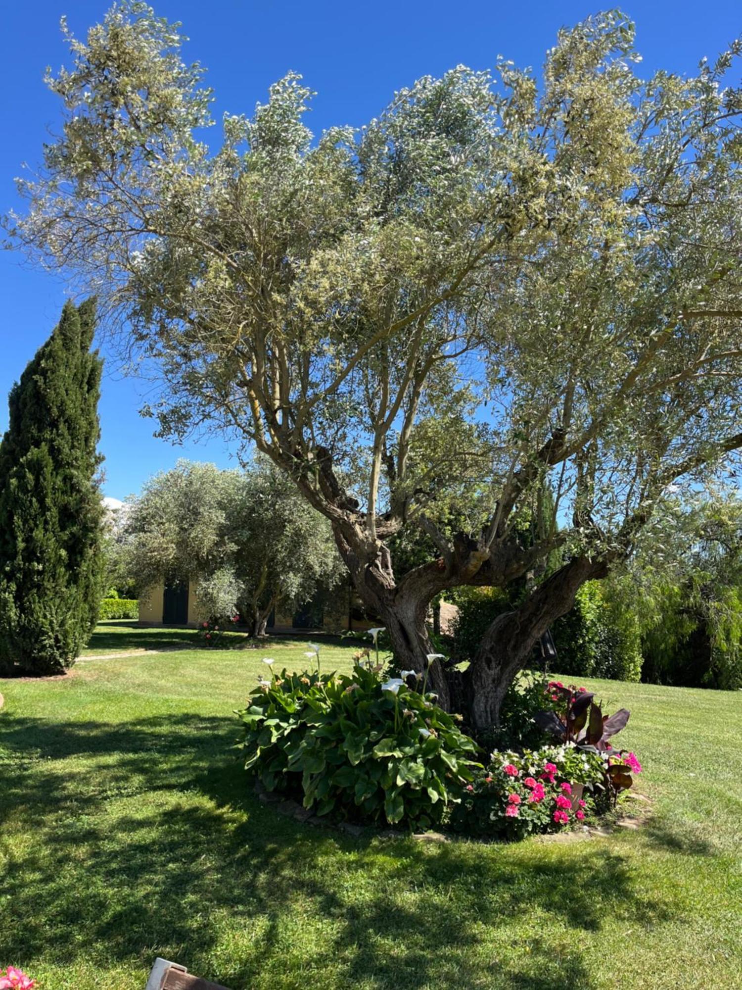 Casale Antica Cassia Luxury &